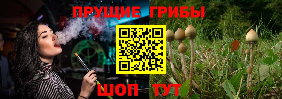 Галлюциногенные грибы ЛСД  продажа наркотиков  Псилоцибиновые грибы ЛСД  Семёнов  Вход с VPN 